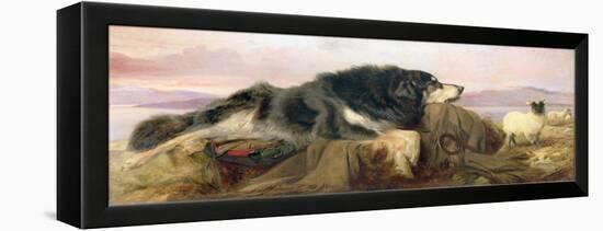 The Shepherd's Dog, 1869 (Oil on Canvas)-Richard Ansdell-Framed Premier Image Canvas