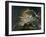 The Shepherd's Dream, from Paradise Lost, 1793-Henry Fuseli-Framed Giclee Print