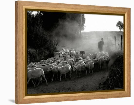 The Shepherd-Monika Brand-Framed Premier Image Canvas