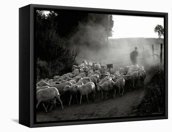 The Shepherd-Monika Brand-Framed Premier Image Canvas