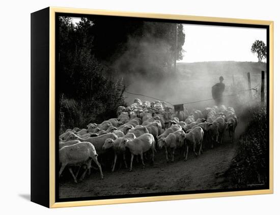 The Shepherd-Monika Brand-Framed Premier Image Canvas