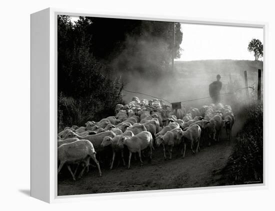 The Shepherd-Monika Brand-Framed Premier Image Canvas