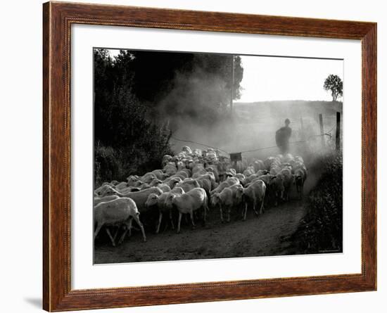 The Shepherd-Monika Brand-Framed Photographic Print