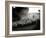 The Shepherd-Monika Brand-Framed Photographic Print