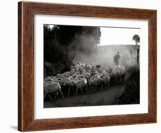 The Shepherd-Monika Brand-Framed Photographic Print