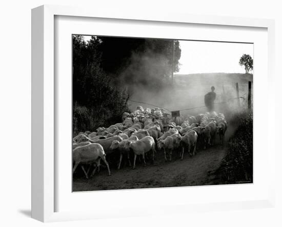 The Shepherd-Monika Brand-Framed Photographic Print