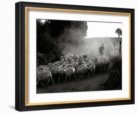 The Shepherd-Monika Brand-Framed Photographic Print