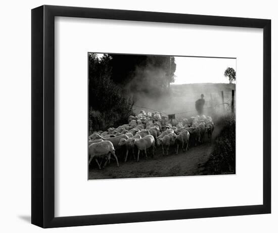 The Shepherd-Monika Brand-Framed Photographic Print