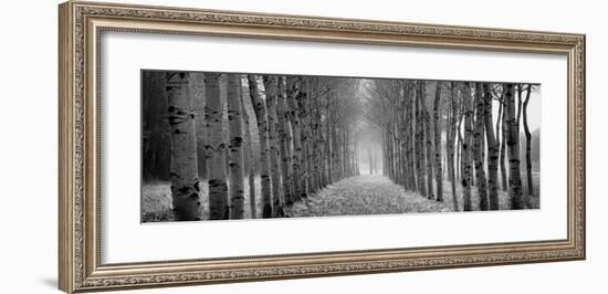 The Shimmering Forest-Heather Ross-Framed Giclee Print