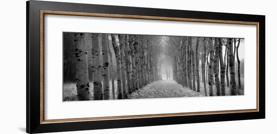 The Shimmering Forest-Heather Ross-Framed Giclee Print