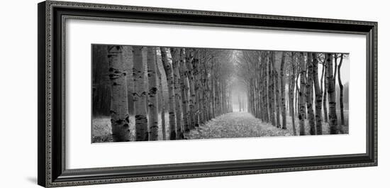 The Shimmering Forest-Heather Ross-Framed Giclee Print