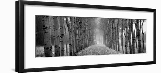 The Shimmering Forest-Heather Ross-Framed Giclee Print