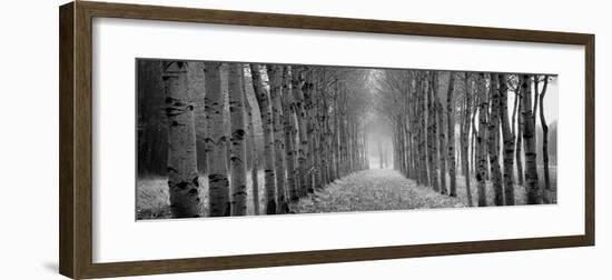 The Shimmering Forest-Heather Ross-Framed Giclee Print