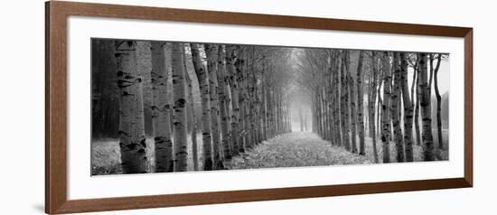 The Shimmering Forest-Heather Ross-Framed Giclee Print