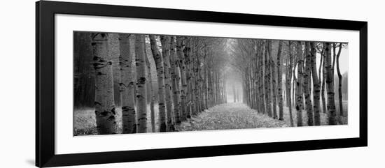 The Shimmering Forest-Heather Ross-Framed Giclee Print