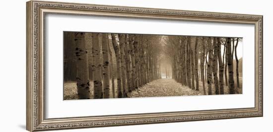 The Shimmering Forest-Heather Ross-Framed Giclee Print