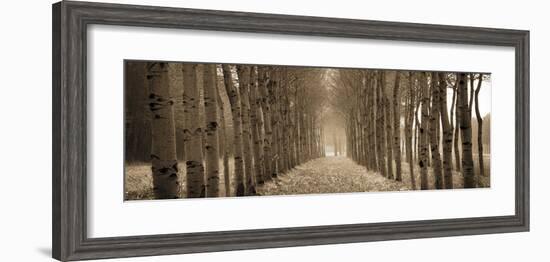 The Shimmering Forest-Heather Ross-Framed Giclee Print