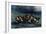 The Shipwreck of Don Juan, 1840-Eugene Delacroix-Framed Giclee Print