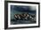 The Shipwreck of Don Juan, 1840-Eugene Delacroix-Framed Giclee Print