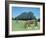 The Shire Horse, 2006-Ann Brain-Framed Giclee Print