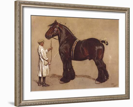 The Shire Horse-Cecil Aldin-Framed Premium Giclee Print