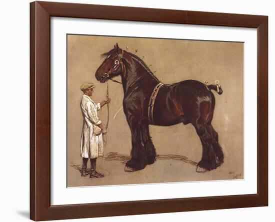 The Shire Horse-Cecil Aldin-Framed Premium Giclee Print