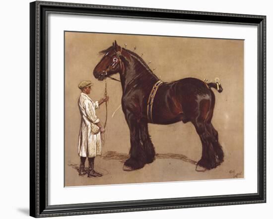 The Shire Horse-Cecil Aldin-Framed Premium Giclee Print