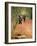 The Shoot, 1876-Claude Monet-Framed Giclee Print
