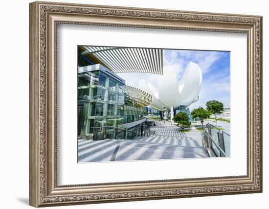 The Shoppes at Marina Bay Sands and Artscience Museum, Marina Bay, Singapore, Southeast Asia, Asia-Fraser Hall-Framed Photographic Print