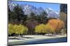 The Shoreline of Queenstown, on the Banks of Lake Wakatipu, South Island, New Zealand-Paul Dymond-Mounted Photographic Print