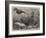 The Short-Nosed Seahorse (Hippocampus Brevirostris) in the Gardens of the Zoological Society-null-Framed Giclee Print