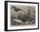 The Short-Nosed Seahorse (Hippocampus Brevirostris) in the Gardens of the Zoological Society-null-Framed Giclee Print