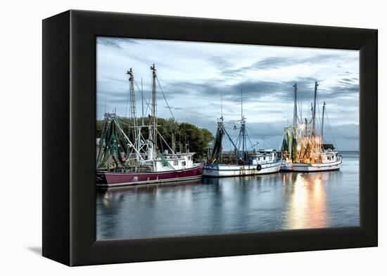 The Shrimping Fleet-Danny Head-Framed Stretched Canvas