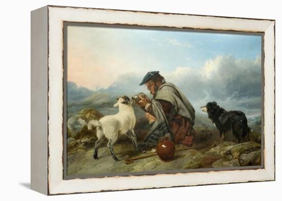 The Sick Lamb, 1853-Richard Ansdell-Framed Premier Image Canvas