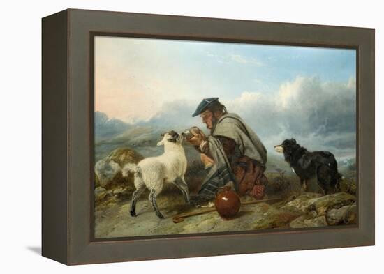 The Sick Lamb, 1853-Richard Ansdell-Framed Premier Image Canvas