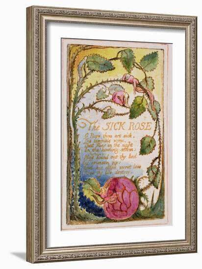 The Sick Rose: Plate 39 from Songs of Innocence and of Experience C.1815-26-William Blake-Framed Giclee Print