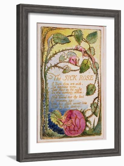 The Sick Rose: Plate 39 from Songs of Innocence and of Experience C.1815-26-William Blake-Framed Giclee Print