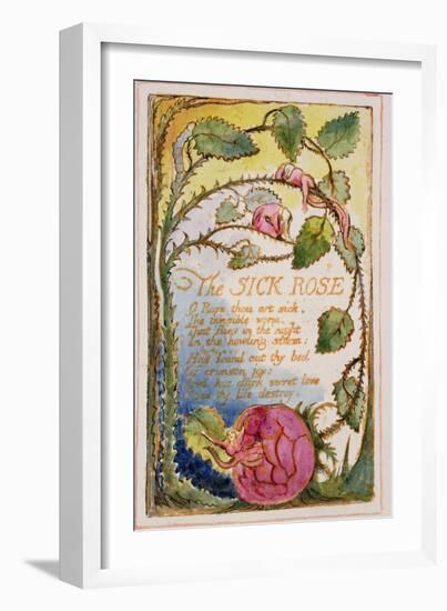 The Sick Rose: Plate 39 from Songs of Innocence and of Experience C.1815-26-William Blake-Framed Giclee Print