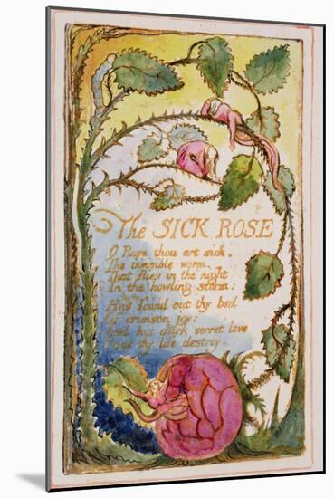 The Sick Rose: Plate 39 from Songs of Innocence and of Experience C.1815-26-William Blake-Mounted Giclee Print