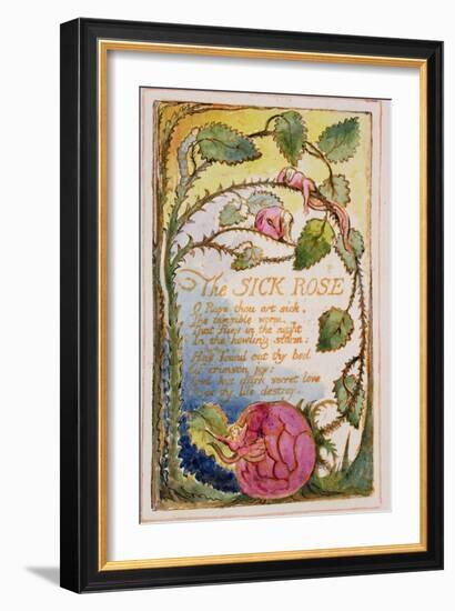 The Sick Rose: Plate 39 from Songs of Innocence and of Experience C.1815-26-William Blake-Framed Giclee Print