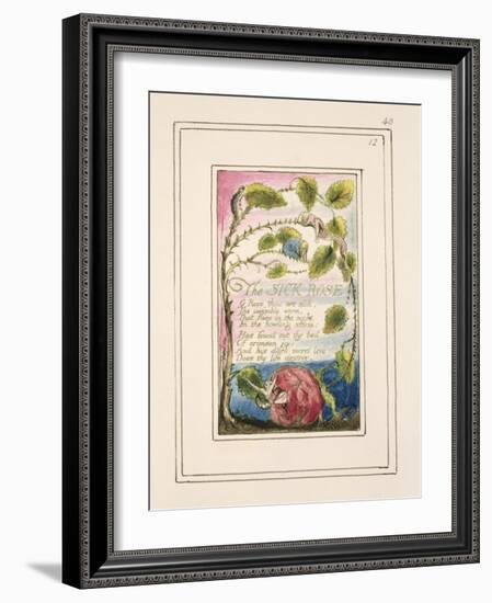 The Sick Rose: Plate 40 from 'Songs of Innocence and of Experience' C.1802-08-William Blake-Framed Giclee Print