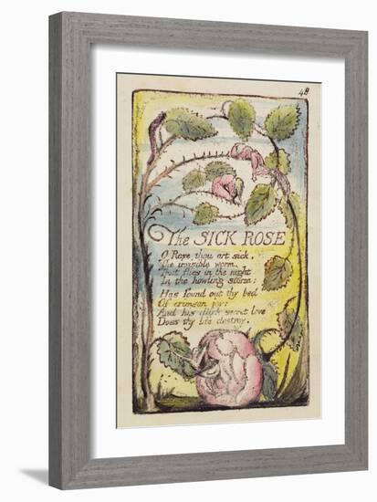 The Sick Rose', Plate 48 from 'Songs of Innocence and of Experience' [Bentley 39] C.1789-94-William Blake-Framed Giclee Print