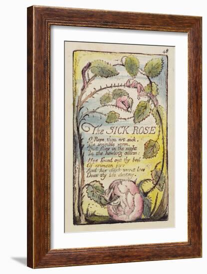 The Sick Rose', Plate 48 from 'Songs of Innocence and of Experience' [Bentley 39] C.1789-94-William Blake-Framed Giclee Print