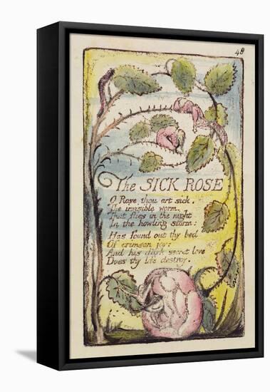 The Sick Rose', Plate 48 from 'Songs of Innocence and of Experience' [Bentley 39] C.1789-94-William Blake-Framed Premier Image Canvas