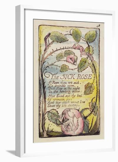 The Sick Rose', Plate 48 from 'Songs of Innocence and of Experience' [Bentley 39] C.1789-94-William Blake-Framed Giclee Print