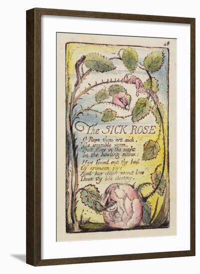 The Sick Rose', Plate 48 from 'Songs of Innocence and of Experience' [Bentley 39] C.1789-94-William Blake-Framed Giclee Print