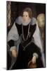 The Sieve Portrait of Queen Elizabeth I-Quentin Massys-Mounted Giclee Print