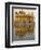 The Sikh Golden Temple Reflected in Pool, Amritsar, Punjab State, India-Eitan Simanor-Framed Photographic Print