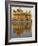 The Sikh Golden Temple Reflected in Pool, Amritsar, Punjab State, India-Eitan Simanor-Framed Photographic Print