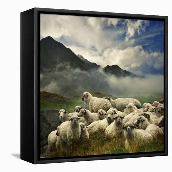 The Silence of the Lambs-Istvan Kadar-Framed Premier Image Canvas